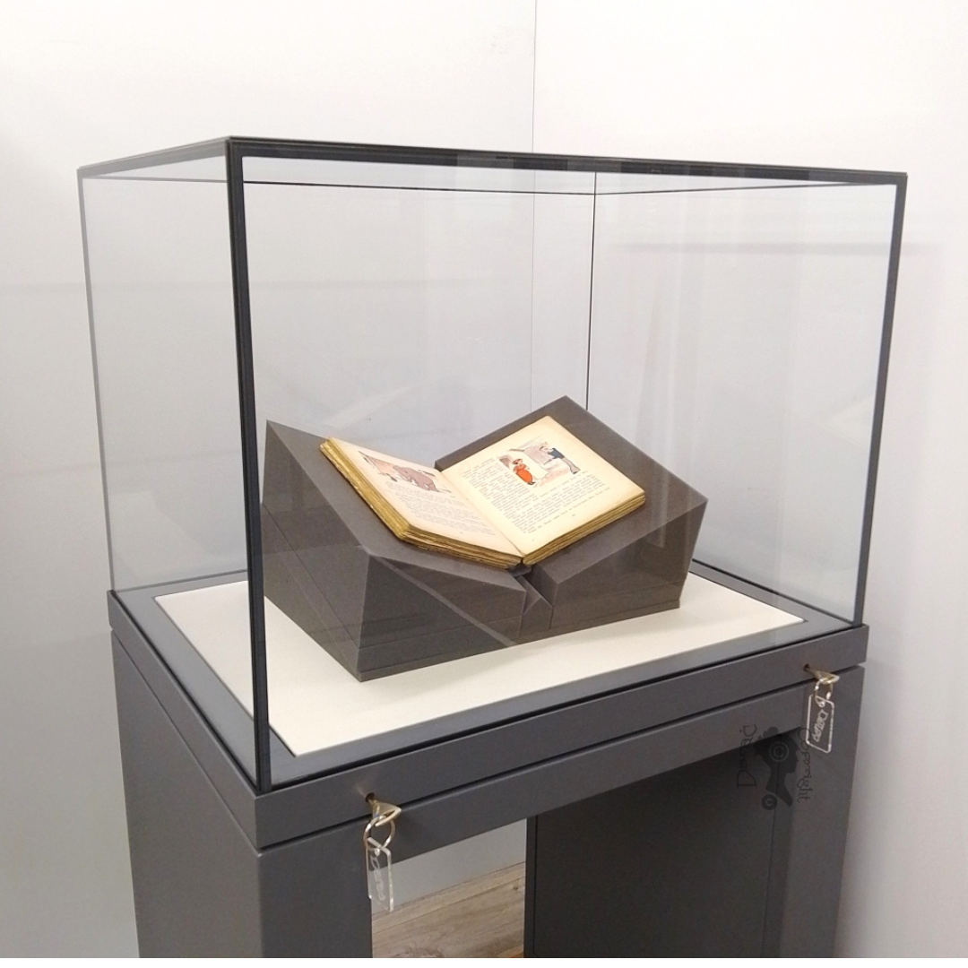 Manufacturer, Exporter, Importer, Supplier, Wholesaler, Retailer, Trader of Glass Museum Quality Art Display Showcase in Dubai, Dubai,UAE, 