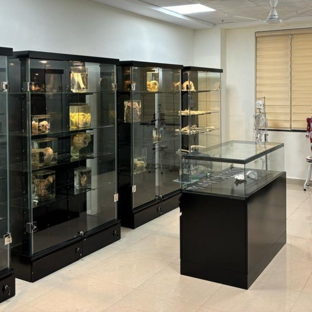 Manufacturer, Exporter, Importer, Supplier, Wholesaler, Retailer, Trader of Wall Metal Museum Display Showcase in Dubai, Dubai,UAE, 
